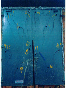 C:\Users\Administrator\Desktop\3AC8{RT1$79CJ}A%)ALI@ZU.png C:\Users\Administrator\Desktop\3AC8{RT1$79CJ}A%)ALI@ZU.png